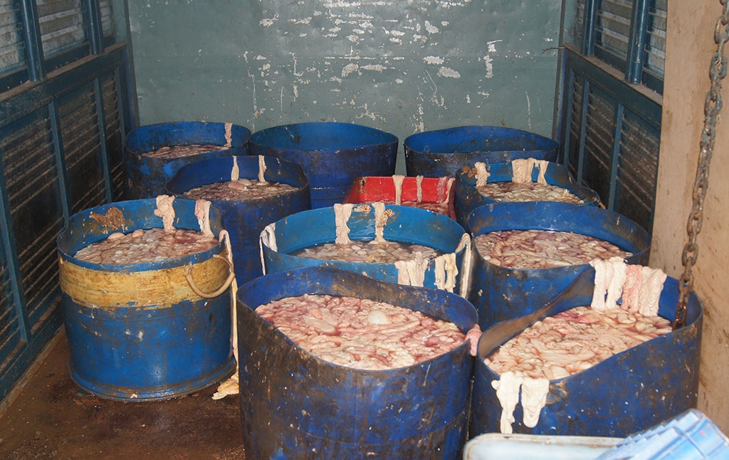 nguoi dan ong cho 500kg long thoi tu long an ve binh duong tieu thu