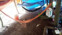 nguoi dan ong bi duoi chem nguy kich ngay tren pho giua ban ngay