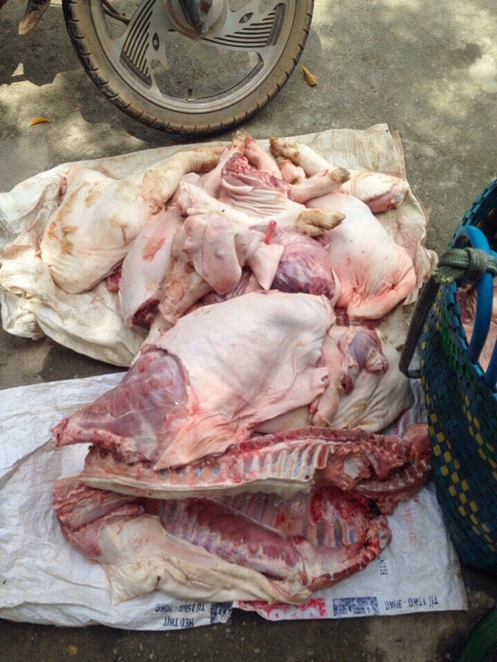 bat giu 600kg heo sua boc mui hoi thoi dung trong 10 thung xop