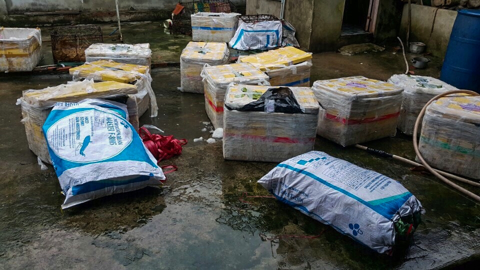 bat giu 600kg heo sua boc mui hoi thoi dung trong 10 thung xop