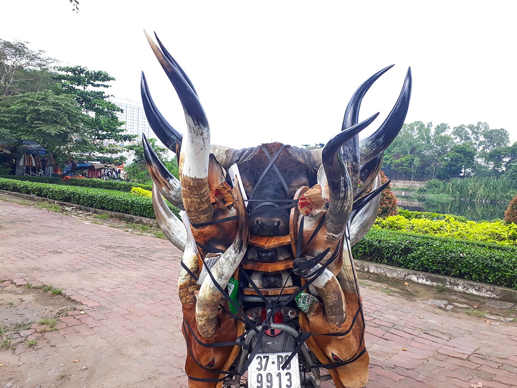 dau bo tot linh duong bay ban cong khai o sai gon