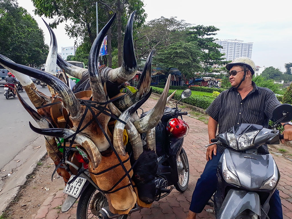 dau bo tot linh duong bay ban cong khai o sai gon