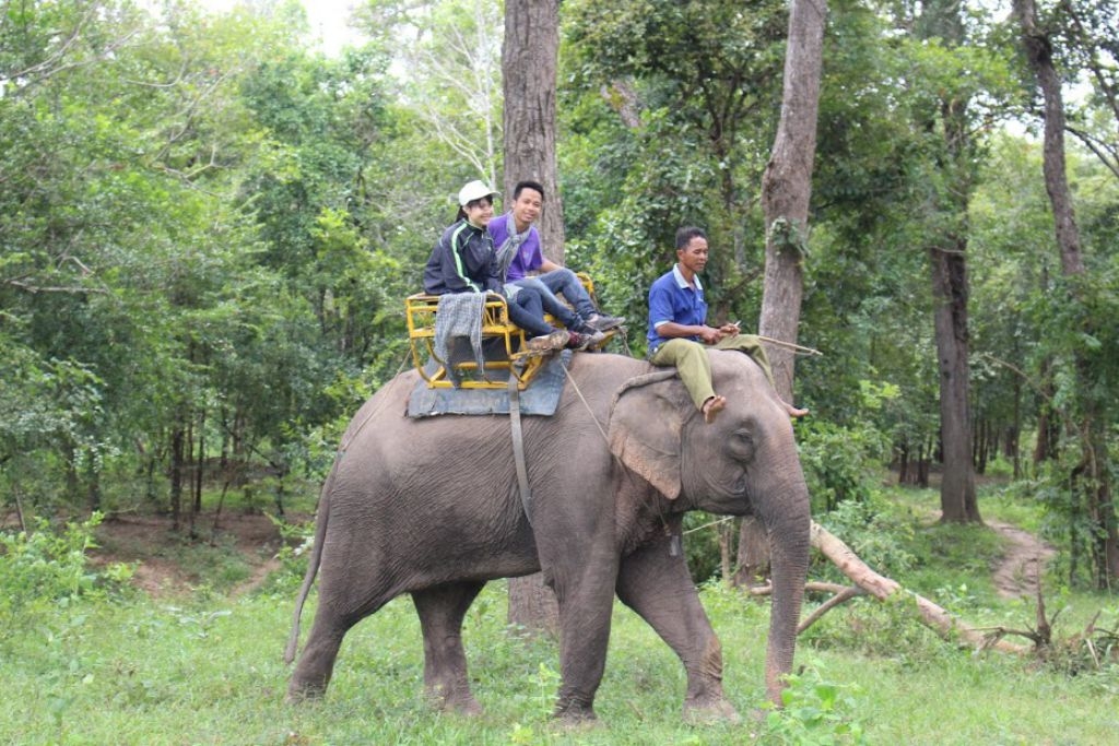 doc dao nghe san voi cua nguoi dan tay nguyen