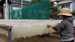 Làng miến Bắc tại Đắk Lắk hối hả 'chạy đua' ngày cuối năm