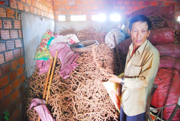 thuong lai trung quoc thu mua re ho tieu ve u phan bon