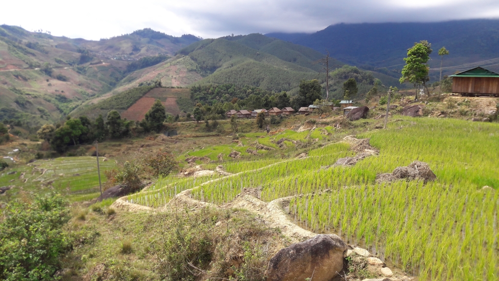 nhoc nhan muu sinh duoi chan nui ngoc linh nhung ngay can tet