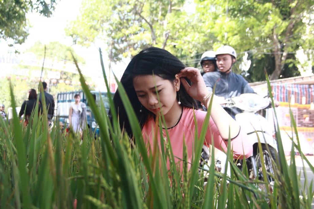 lua dong len chau canh choi ngay tet