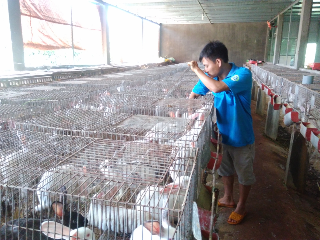 chang ky su bo pho thi xa hoa ve nha nuoi tho lam giau