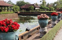 Festival Huế 2018:  Ngẩn ngơ với 'kỳ hoa dị thảo' trong Hoàng cung Huế