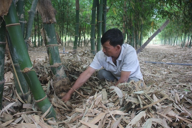 lao nong u50 thu nhap hon 400 trieu dongnam nho vung dat bo hoang