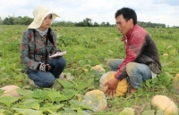 lam ro vu viec be so sinh vua chao doi da tu vong