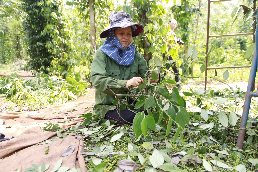 o at mo rong dien tich tieu nguoi dan ngam qua dang