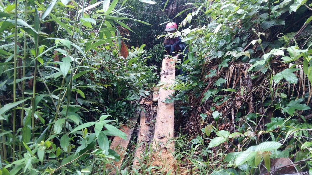 rung tay nguyen bi xe thit tieng cua may vang len ngay gan tram kiem lam