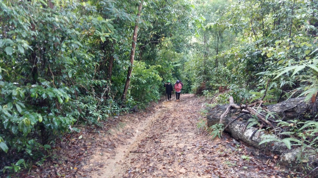 rung tay nguyen bi xe thit tieng cua may vang len ngay gan tram kiem lam