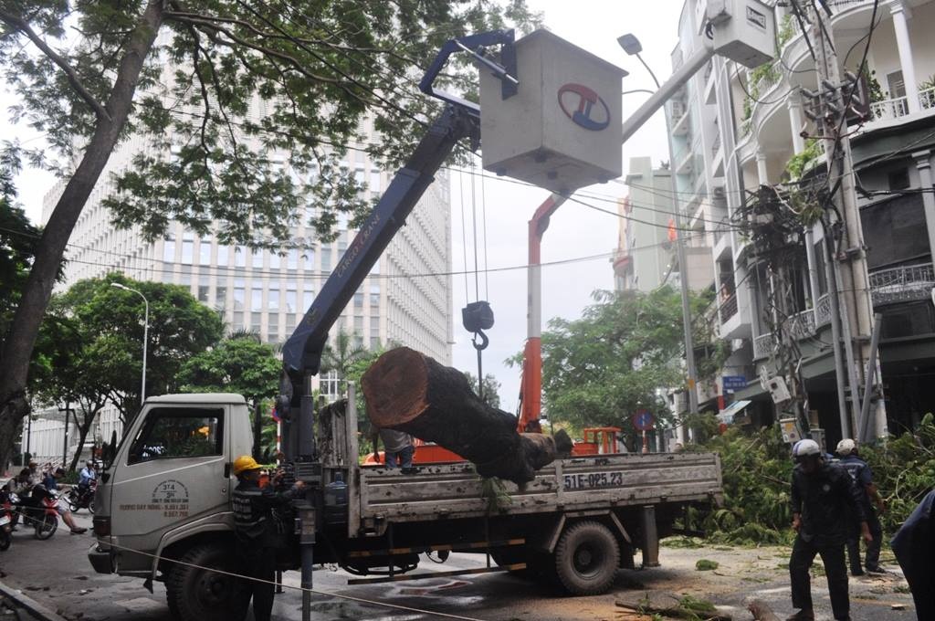 tp hcm mua to gio lon cay xanh lai do ngon ngang tren pho mac thi buoi