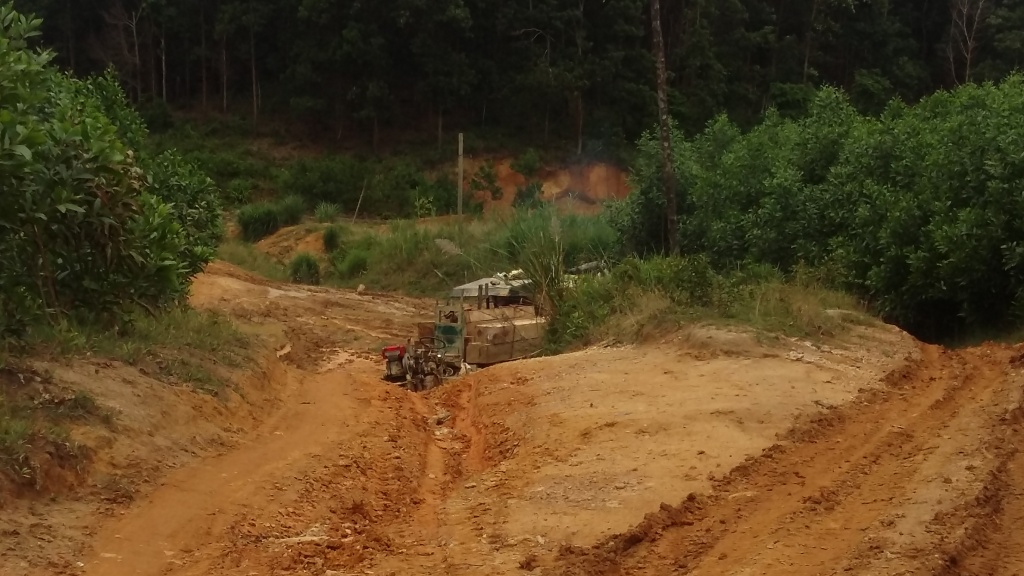 rung bi xe thit o dak lak lam tac hoat dong nhu chon khong nguoi