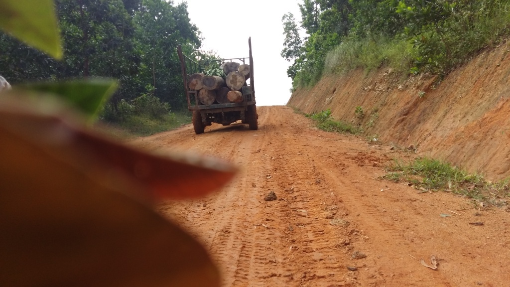 rung bi xe thit o dak lak lam tac hoat dong nhu chon khong nguoi