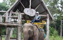 Chuyển đổi du lịch 'cưỡi voi' sang tìm hiểu tập tính và hành vi của voi