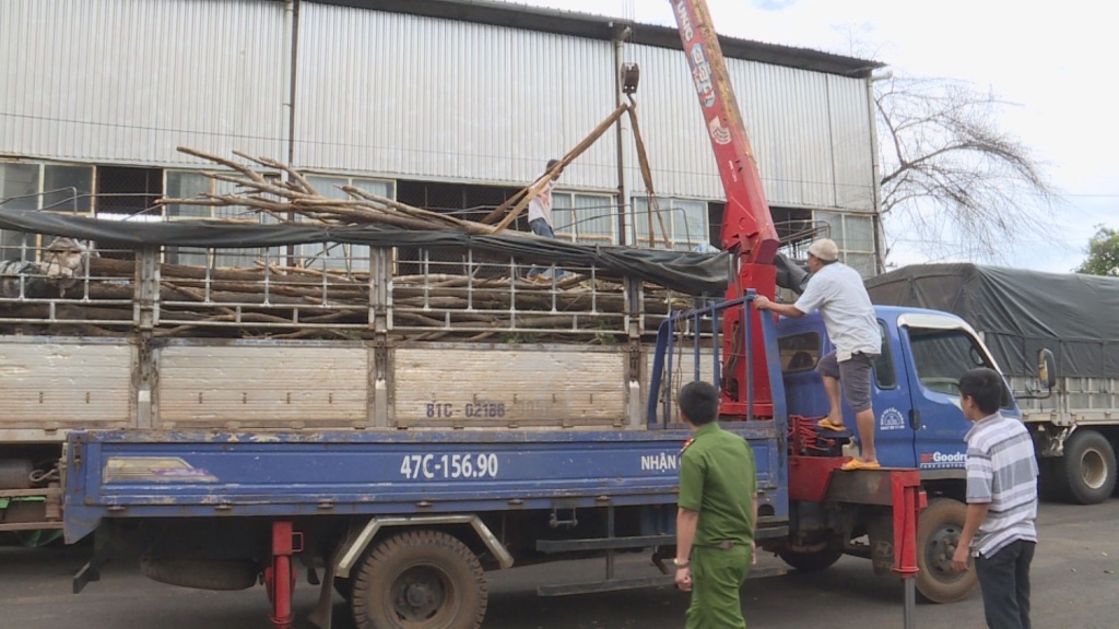 dak lak phat hien xe tai van chuyen 70 cay go giang huong