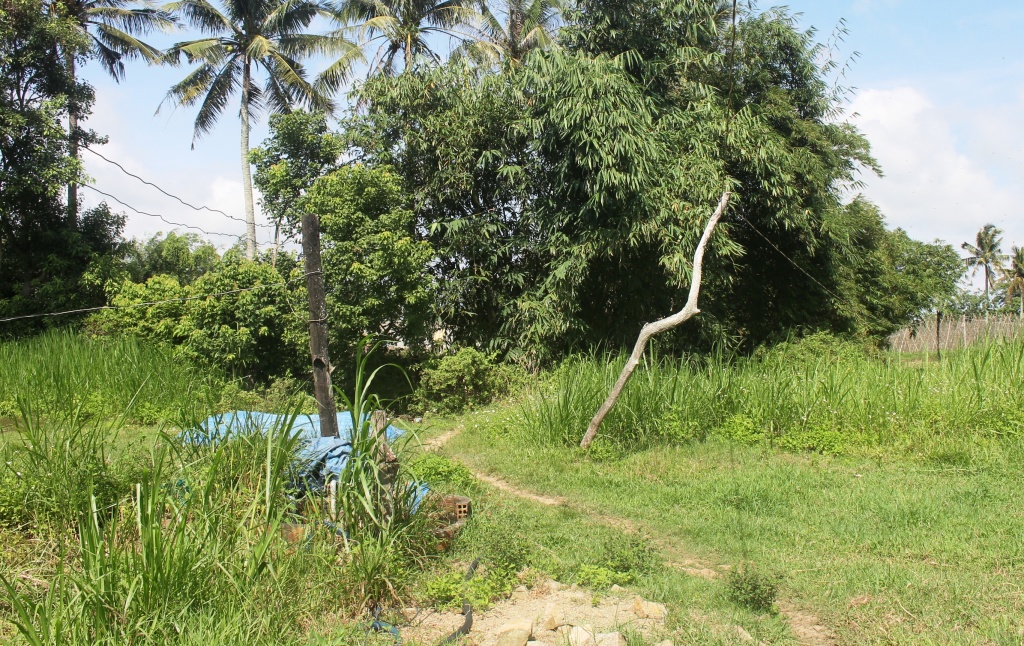di tham vuon nguoi dan ong bi dien giat tu vong