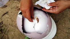 Phó trưởng công an xã bị tố tự ý vào nhà đập chó của người dân