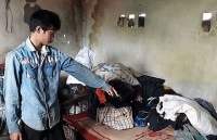 xe dau keo nguy trang cho cay da khung tren quoc lo