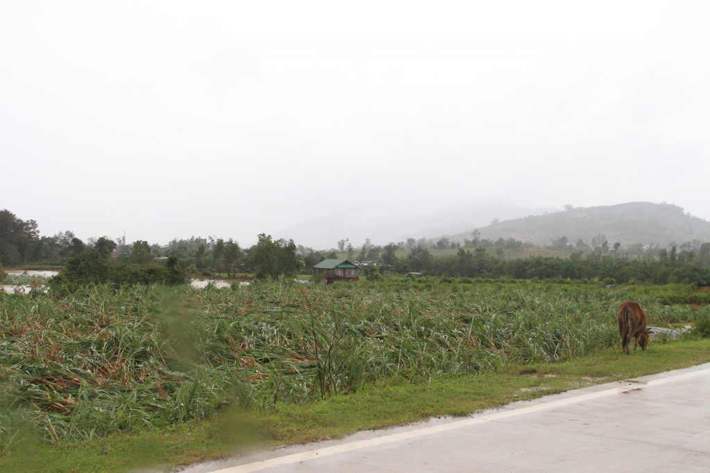 bao damrey qua tay nguyen quoc lo 26 noi dak lak khanh hoa bi ach tac do sat lo