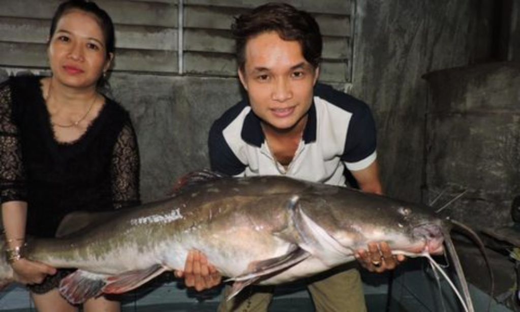 dak lak ngu dan cau duoc ca lang khung nang 45kg va dai 16m
