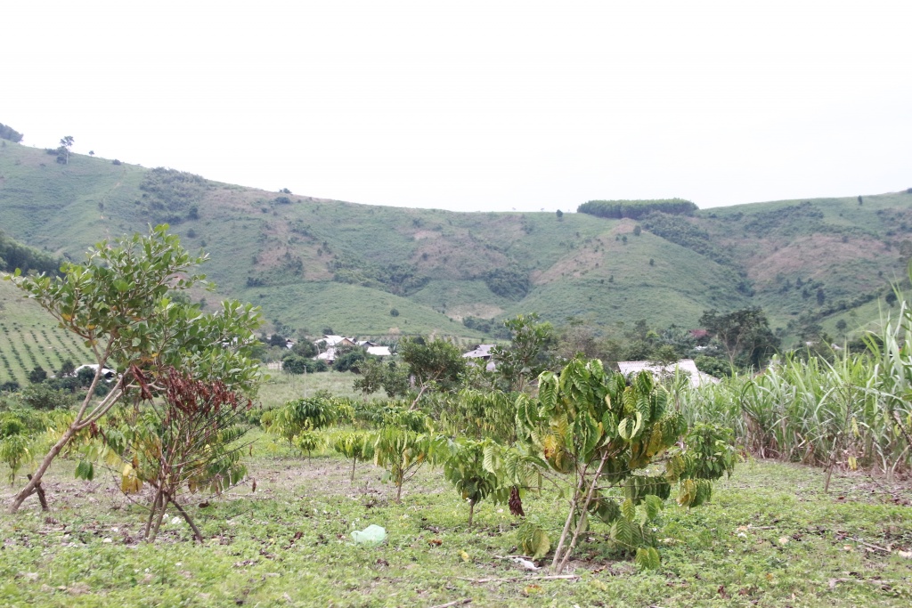 hang loat nu sinh o dak lak bong dung mac benh la