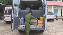 Đắk Lắk: Phát hiện nhiều động vật hoang dã tại nhà hàng Biển Rừng