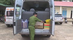 Đắk Lắk: Phát hiện nhiều động vật hoang dã tại nhà hàng Biển Rừng