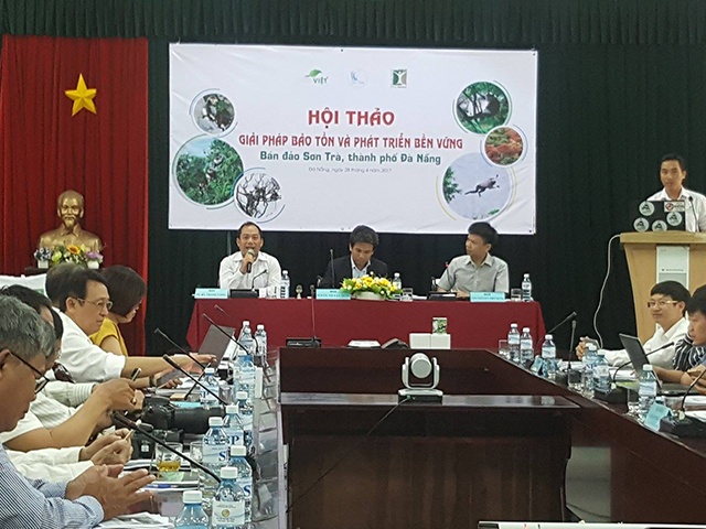 chuyen gia lo ngai la phoi xanh cua da nang se bi be tong hoa