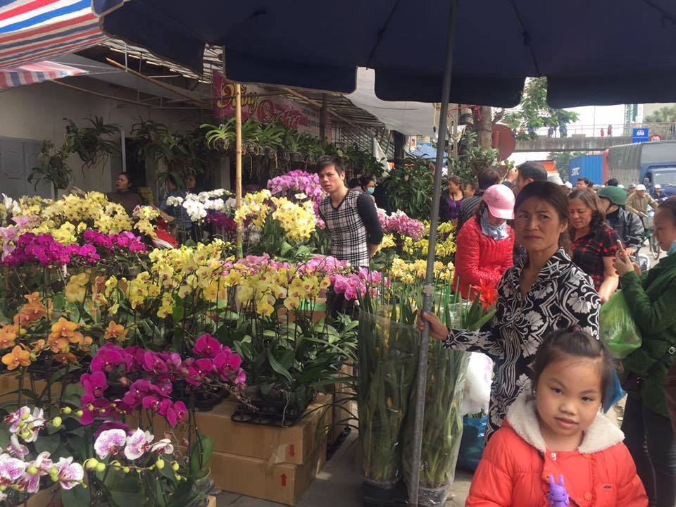 bo tien trieu mua hoa lan choi tet can than hang doi lot da lat