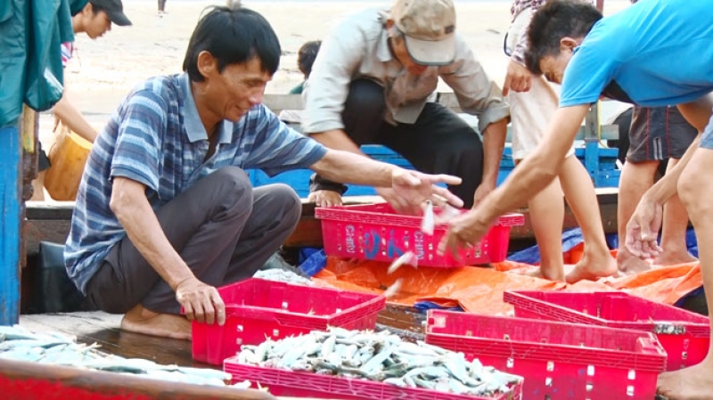 them doi tuong duoc ho tro gian tiep trong thiet hai moi truong do formosa