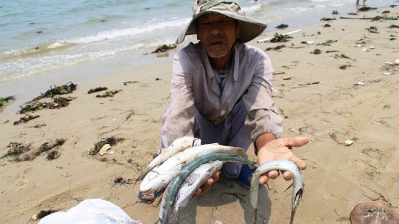 tin nhap 20160831011928