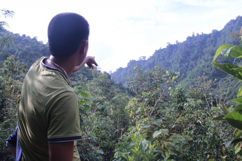 them mot du an thuy dien sap moc giua rung
