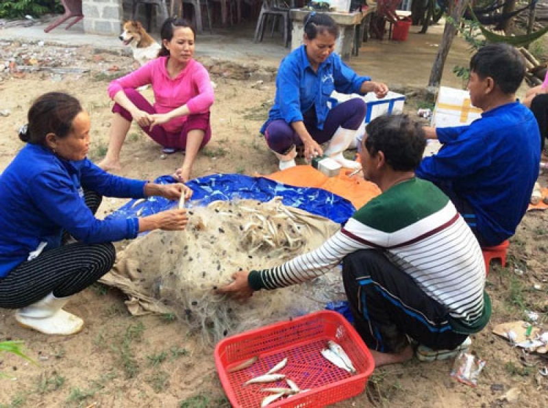 thong tin moi ve viec boi thuong sau su co formosa