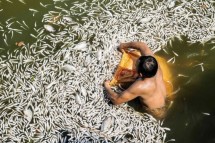ca chet tai cac ho o ha noi do thay doi thoi tiet va nguoi dan y thuc kem