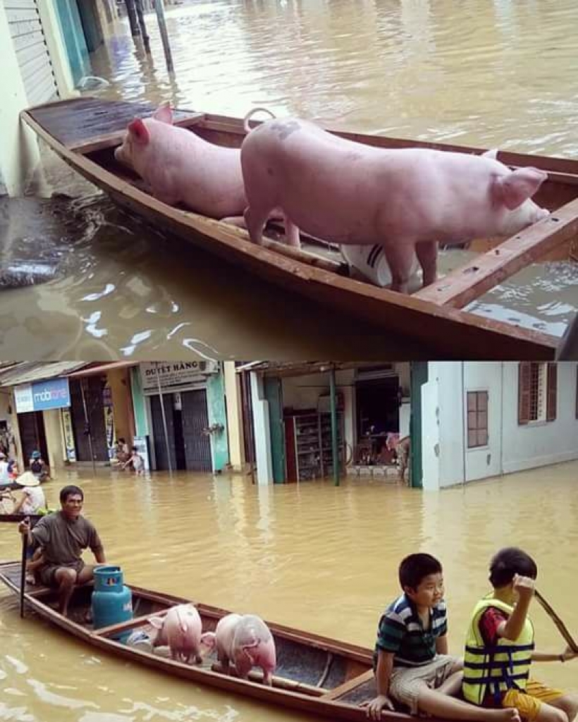 nhoi long hinh anh quang binh tan hoang vi mua lu