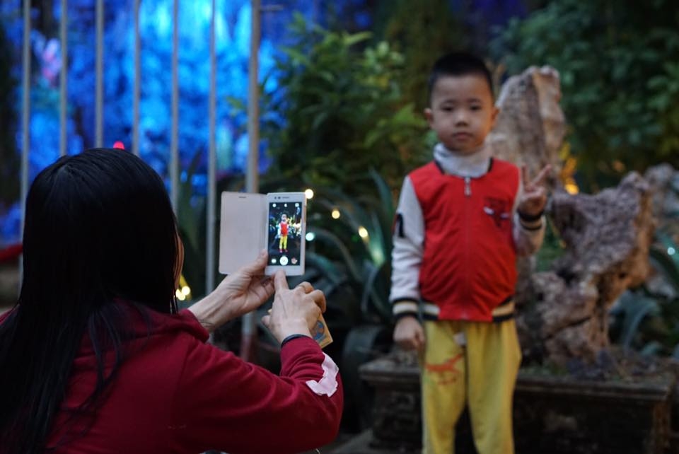 Hà Nội, TP HCM rực rỡ đêm Noel ha noi tp hcm ruc ro dem noel