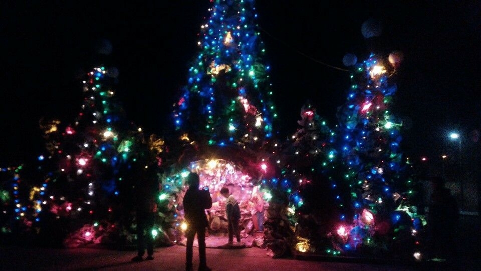 truc tiep ha noi tp hcm ruc ro dem noel