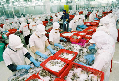 Đại gia thủy sản vỡ trận: Nợ 10 ngàn tỷ, lỗ nặng 700 tỷ dai gia thuy san vo tran no 10 ngan ty lo nang 700 ty