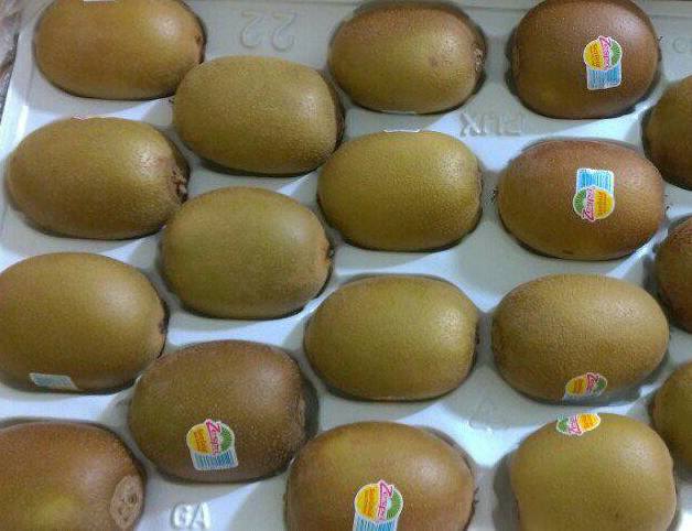 xon xao kiwi cau vong tet co truyen giai ngan kieu nhat