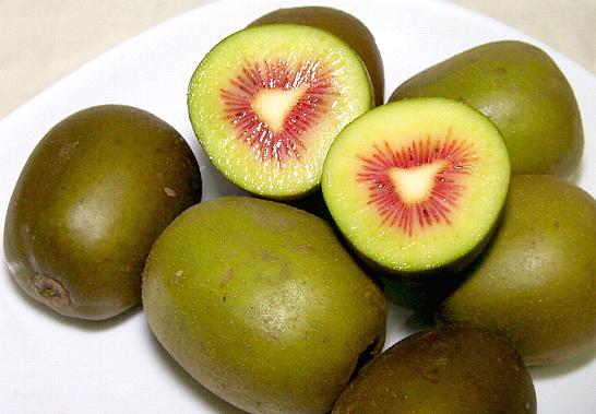 xon xao kiwi cau vong tet co truyen giai ngan kieu nhat