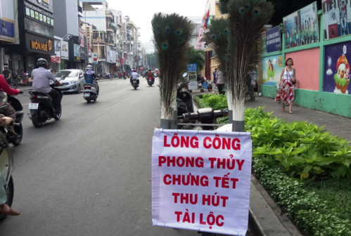chim cong 50 trieu dong ban dao o sai gon