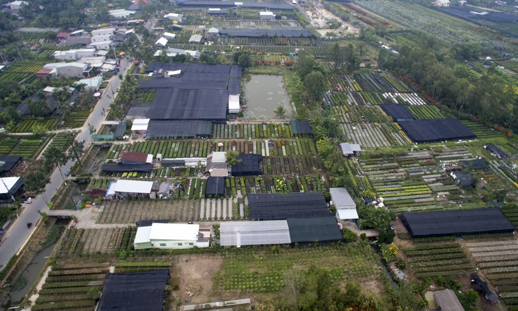 Vựa hoa lớn nhất miền Tây bắt đầu chuyển hàng về chợ Tết, nhiều nhà vườn không còn hoa để bán vua hoa lon nhat mien tay bat dau chuyen hang ve cho tet nhieu nha vuon da ban het hang
