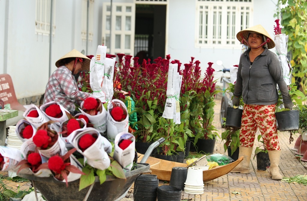 Vựa hoa lớn nhất miền Tây bắt đầu chuyển hàng về chợ Tết, nhiều nhà vườn không còn hoa để bán vua hoa lon nhat mien tay bat dau chuyen hang ve cho tet nhieu nha vuon da ban het hang