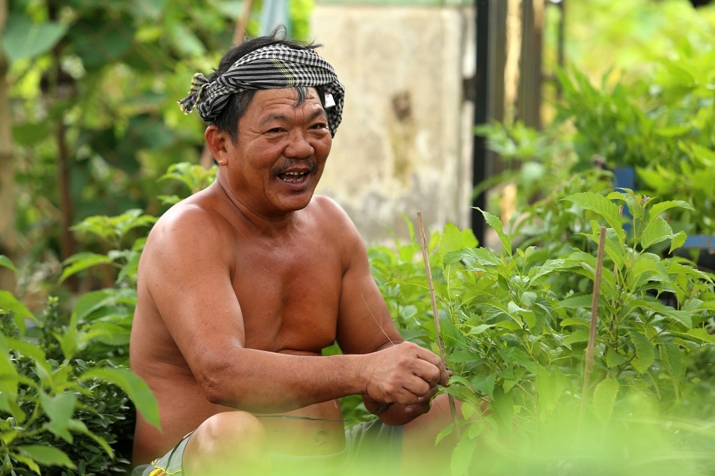 Vựa hoa lớn nhất miền Tây bắt đầu chuyển hàng về chợ Tết, nhiều nhà vườn không còn hoa để bán vua hoa lon nhat mien tay bat dau chuyen hang ve cho tet nhieu nha vuon da ban het hang