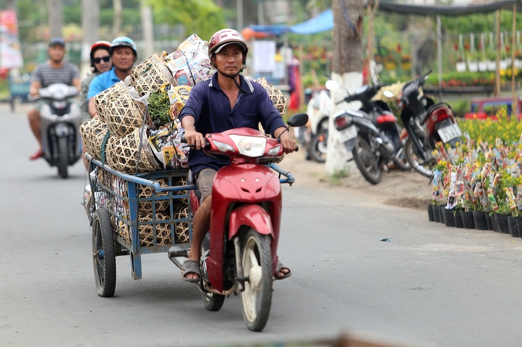 Vựa hoa lớn nhất miền Tây bắt đầu chuyển hàng về chợ Tết, nhiều nhà vườn không còn hoa để bán vua hoa lon nhat mien tay bat dau chuyen hang ve cho tet nhieu nha vuon da ban het hang