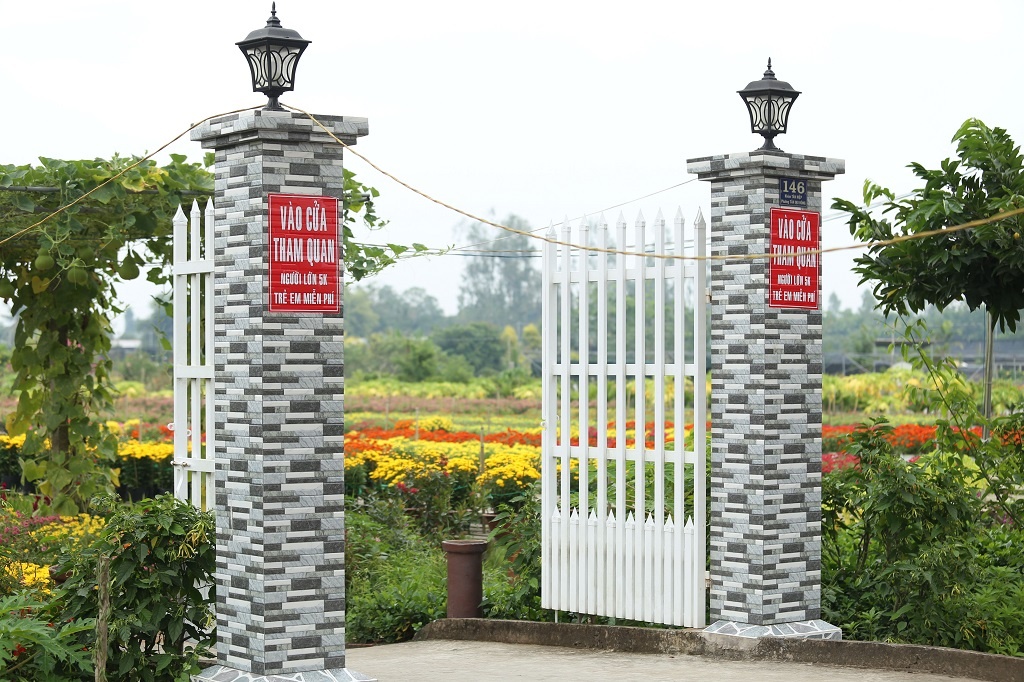 Vựa hoa lớn nhất miền Tây bắt đầu chuyển hàng về chợ Tết, nhiều nhà vườn không còn hoa để bán vua hoa lon nhat mien tay bat dau chuyen hang ve cho tet nhieu nha vuon da ban het hang